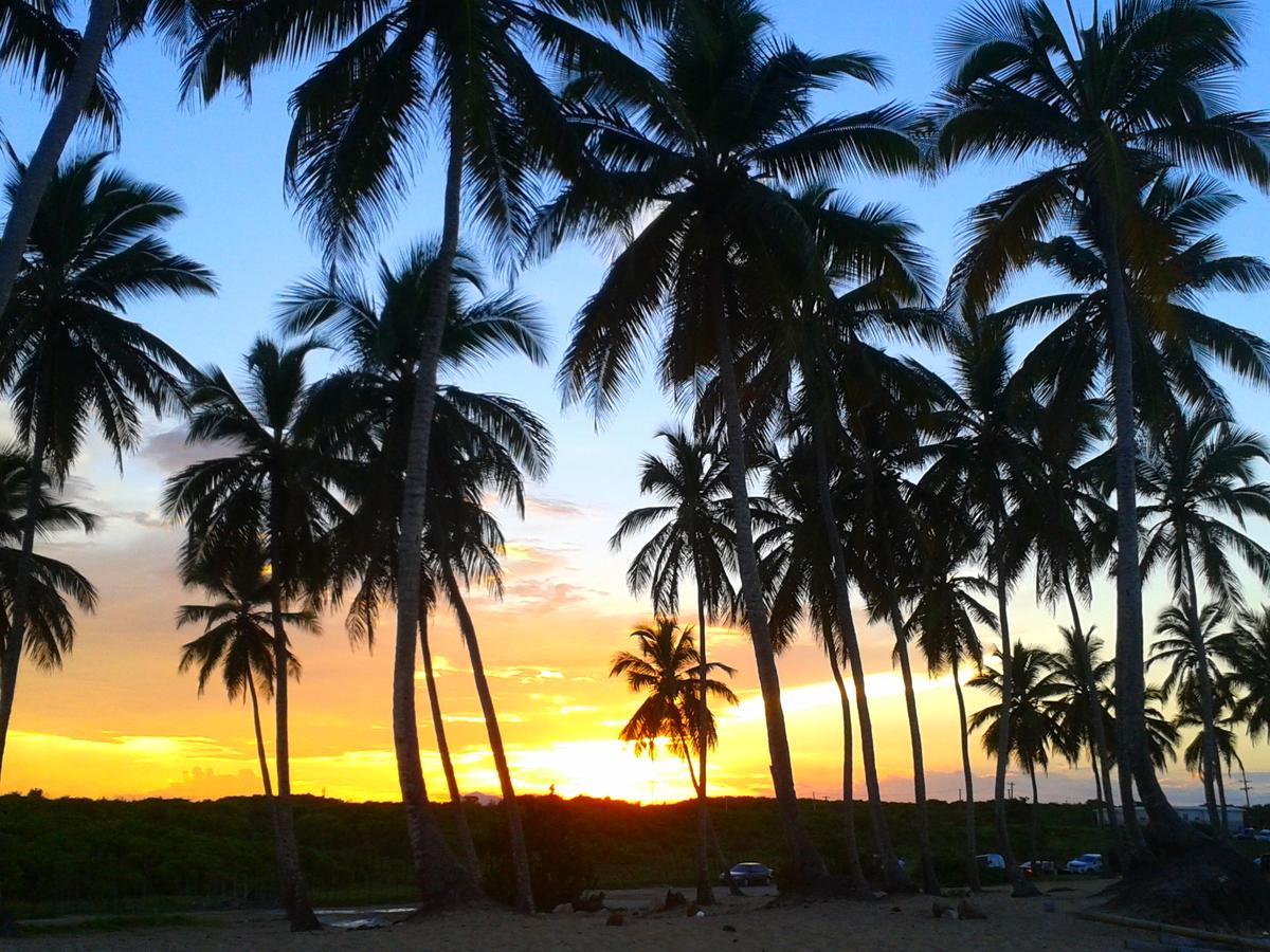 Riviera Punta Cana Eco Travelers ภายนอก รูปภาพ